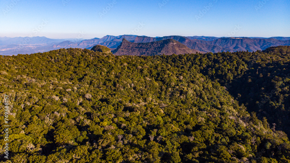 aerial panorama of mountains in main range national park at sunset; view from the area near bare rock, mount mitchell and morgans lookout