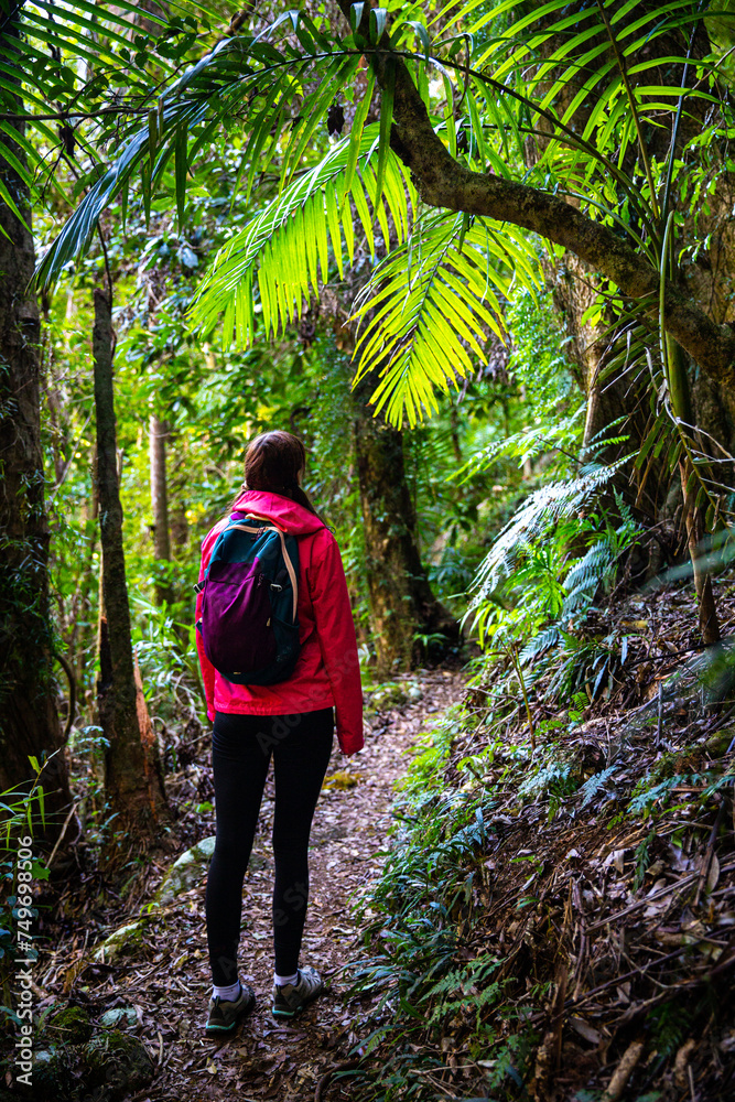 hiker girl with a backpack walking through a dense gondwana rainforest in lamington national park, queensland, australia; hiking in green mountains, toolona circuit, forest with unique ancient plants hiker girl with a backpack walking through a dense gondwana rainforest in lamington national park, queensland, australia; hiking in green mountains, toolona circuit, forest with unique ancient plants