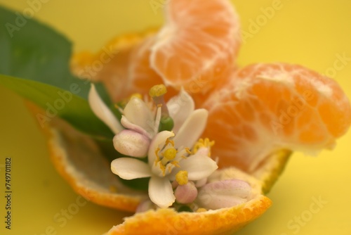 food, fruit, orange, fresh, persimmon, healthy, ripe, sweet, closeup, vegetarian, dessert, nature, diet, organic, wood, tomato, vitamin, juicy, decoration, citrus, green, vegetable, leaf, natural, hea photo