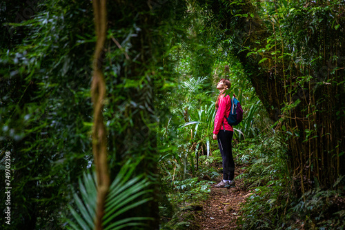 hiker girl with a backpack walking through a dense gondwana rainforest in lamington national park, queensland, australia  hiking in green mountains, toolona circuit, forest with unique ancient plants © Jakub