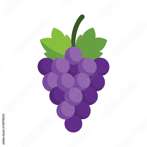 Grape flat vector illustration on white background
