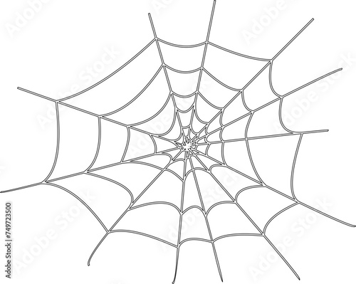Black Spider Web