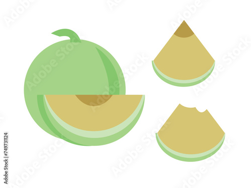 melon fruit vector