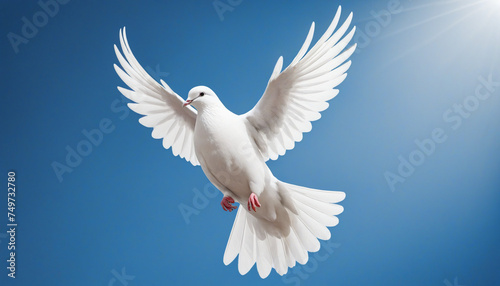 White dove of peace on a blue background, copy space, international day of peace concept