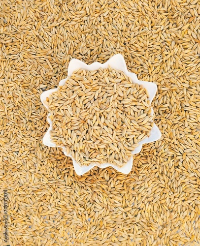Barley cereal grain seeds dried raw food whole dry grains jau closeup photo photo