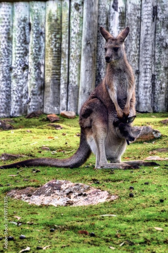 Hobart, Australia