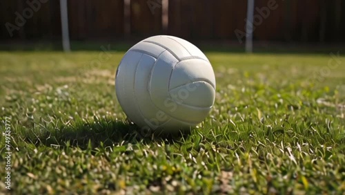 volleyball on grass photo