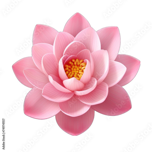 Create A High quality 1 fresh lotus pink flower