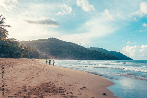 beach in the caribbean in the paradise