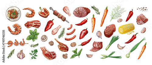 Set of hand-drawn colored sketches of barbecue and picnic elements, meat. For the design of the menu, grilled food. Doodle vintage illustration. Engraved image.
