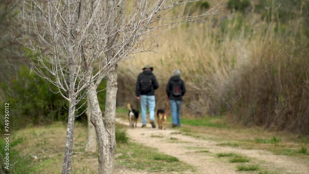 Slow motion, unrecognizable couple walking with dogs outdoors, on a winter day. Slow motion, unrecognizable couple walking with dogs outdoors, on a winter day.