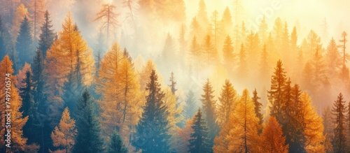 The image showcases a dense forest filled with towering trees, reaching high into the sky. The scene is alive with vibrant fall colors, featuring golden and yellow hues in abundance.