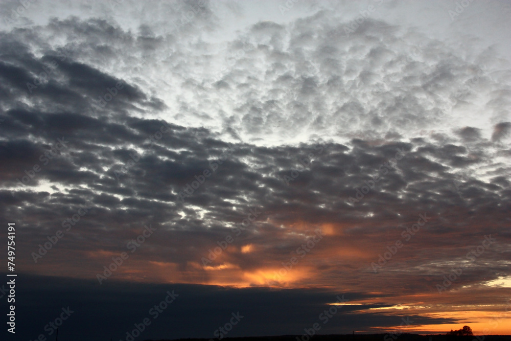 Fototapeta premium Early autumn morning. Sunrise. The brightening sky is decorated with clouds, different in a form and color.
