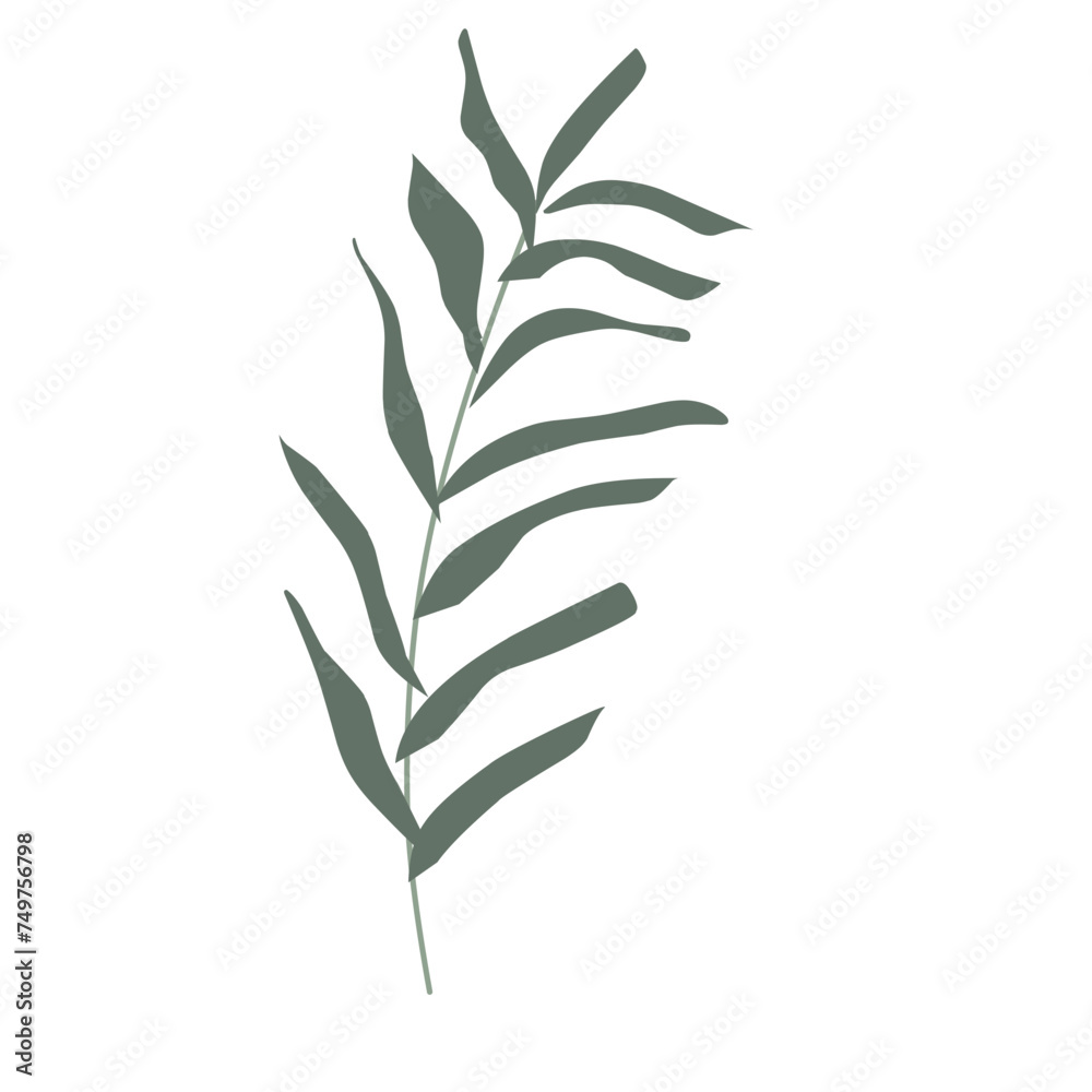 Fototapeta premium Spring flower, aesthetic leaves 