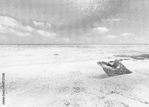 Coquillage sur plage déserte 