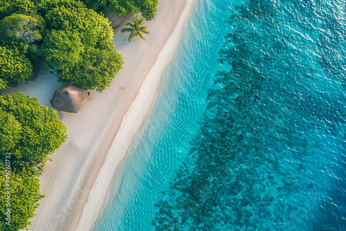 Aerial of Tropical Beach and Palm Trees 
