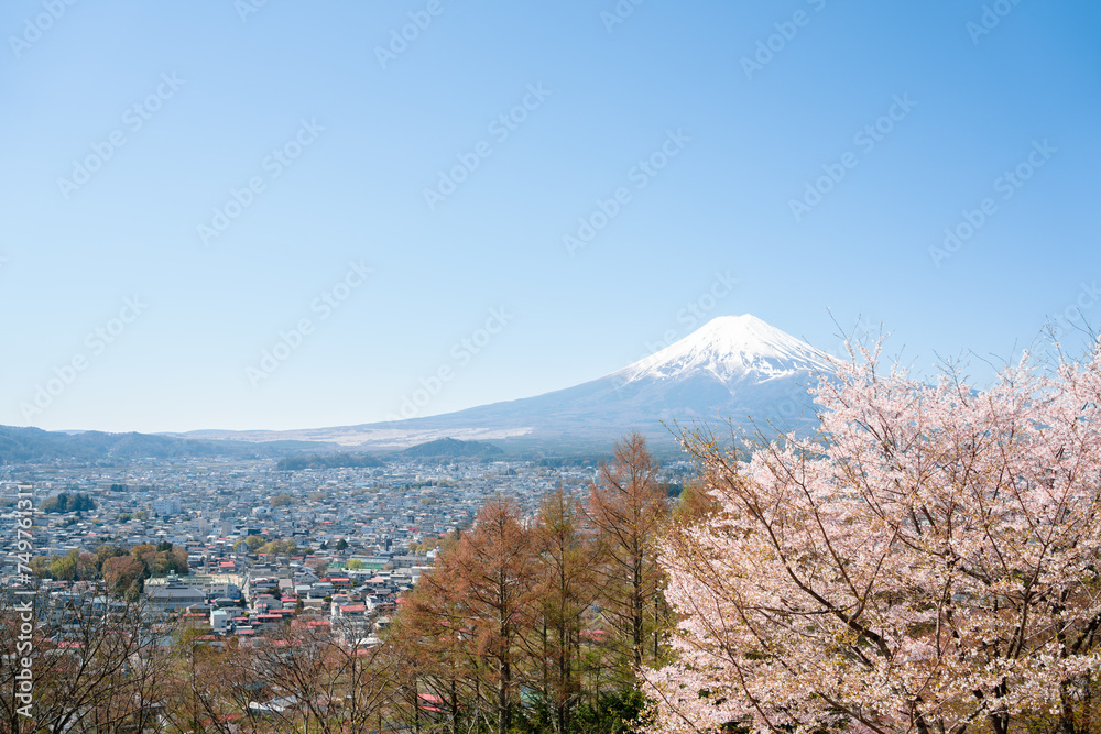 Arakurayama Sengen Park and Fuji Mountain, Shimoyoshida city view with cherry blossoms in Yamanashi, Japan