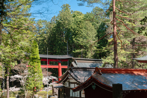 Obraz na płótnie Fujiyoshida Kitaguchi Hongu Fuji Sengen Shrine near Fuji Mountain in Yamanashi, Japan w salonie