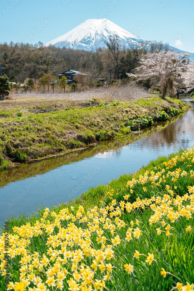 Spring of Oshino Hakkai countryside village and Fuji Mountain in Yamanashi, Japan