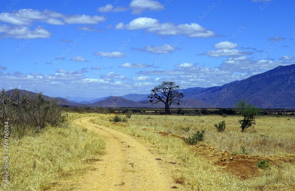 Dirt track in Mkomazi National Park in northern Tanzania, with an isolated tree and mountains in the background