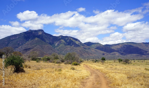 Rough track in the savannah during the dry season with bush and trees in the foreground and a mountain range in the background