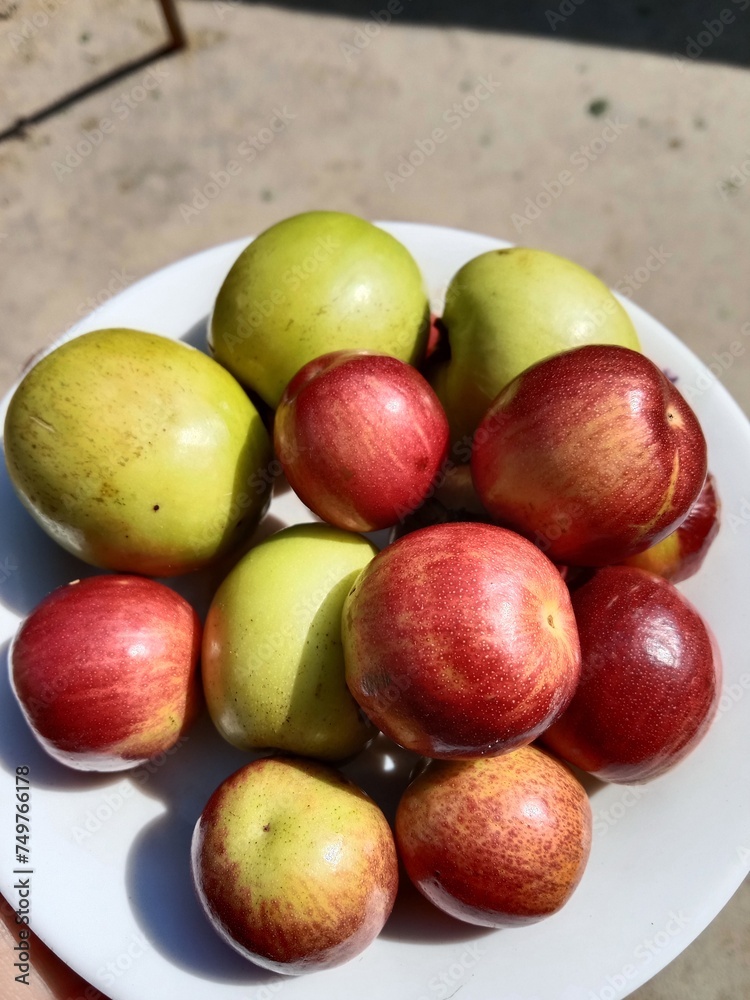 Fruit of the Ziziphus mauritiana, or fruit of Indian jujube,Indian plum,Chinese date,Chinese apple,ber fruit,dunks Fruit of the Ziziphus mauritiana, or fruit of Indian jujube,Indian plum,Chinese date,Chinese apple,ber fruit,dunks