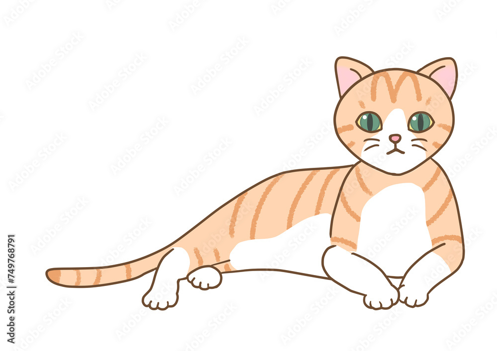 The two-colored cat with brown stripes with green eyes cat is in a relaxed position, raising his upper body and staring straight at the front. The two-colored cat with brown stripes with green eyes cat is in a relaxed position, raising his upper body and staring straight at the front.