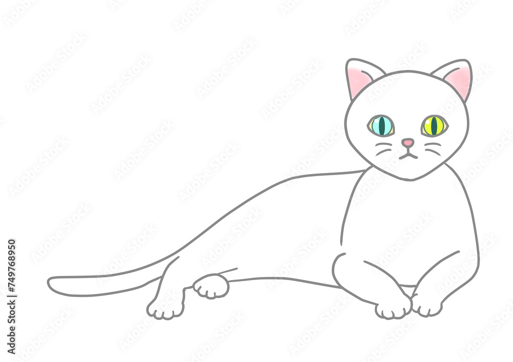 The odd-eyed white cat is in a relaxed position, raising his upper body and staring straight at the front.