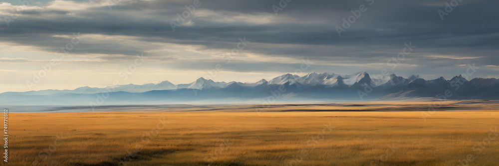Guided Horizon: Expansive Grassland Leading to Distant Mountains. 3:1 Banners and Landscape Backgrounds, Perfect for Expansive Visual Themes