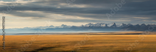 Guided Horizon  Expansive Grassland Leading to Distant Mountains. 3 1 Banners and Landscape Backgrounds  Perfect for Expansive Visual Themes