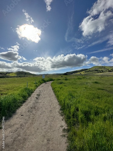 Shady Canyon Irvine California after rain 