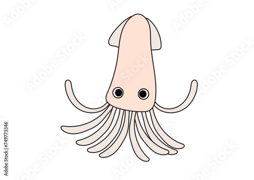 シンプルでかわいいイカのイラスト