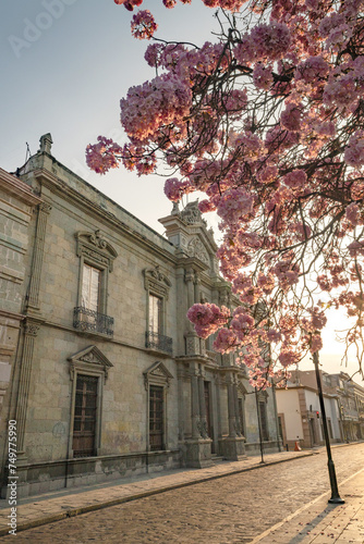 Instituto de Oaxaca photo