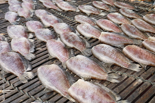 Fotografija Gourami is a type of freshwater fish