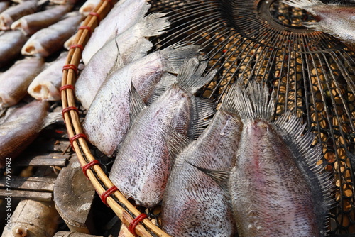Tablou pe pânză Gourami is a type of freshwater fish