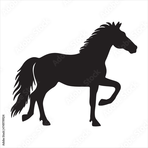 Horses silhouette vector illustration Horse silhouettes