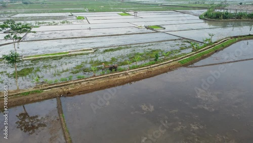 Wallpaper Mural aerial drone, green farmfield, swamps and ponds Torontodigital.ca
