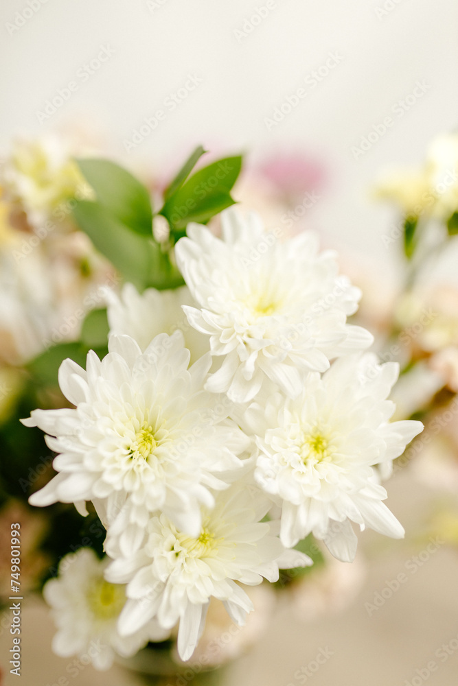 A bouquet of yellow and pink asters and gerbers in a glass vase against the backdrop of a window with rays of sun. Yellow and white flowers close up in the interior. Mother's day background. Mockups 