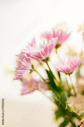 A bouquet of asters and gerberas in a glass vase against a bokeh background with sun rays. Pink flowers close-up on a white bright background. Mother s Day background. Spring and summer mockups