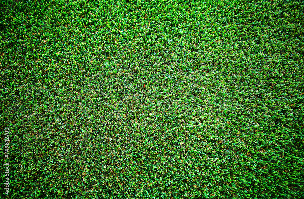 Fototapeta premium Uniform plain green grass texture background
