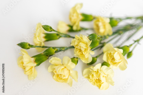 Yellow flowers close on a clear white background. Mother's Day card. Spring and summer background. Presents for woman. Mockup. Layout. 