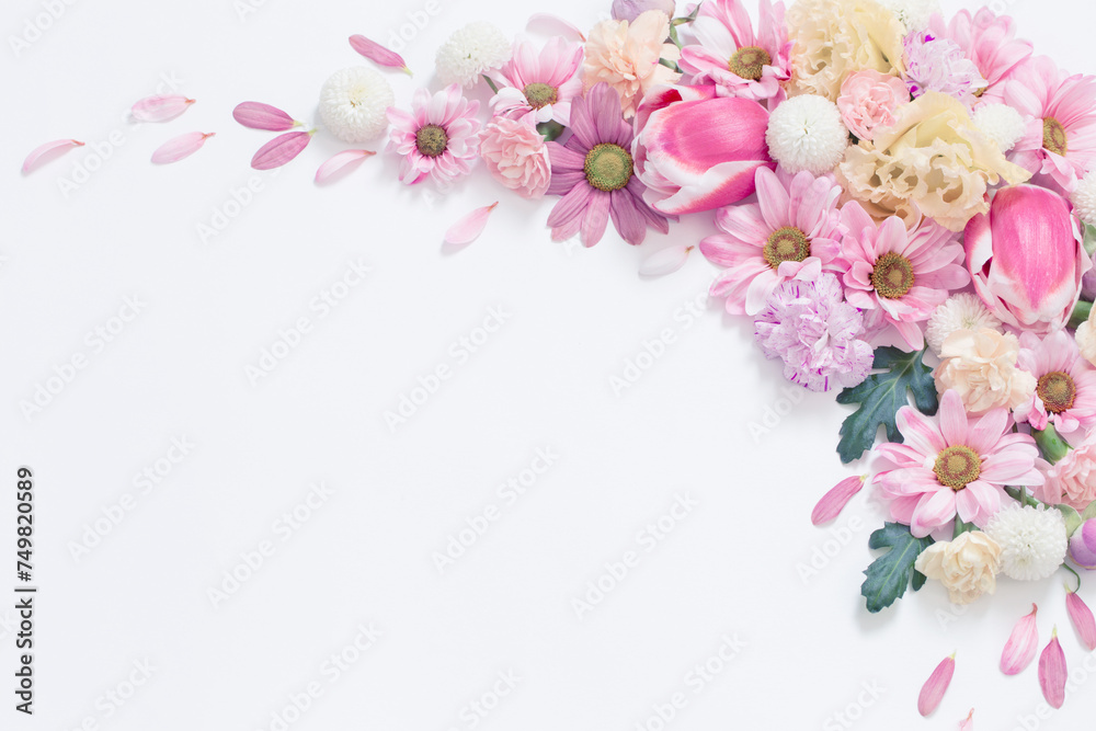 frame of flowers on white background - obrazy, fototapety, plakaty 