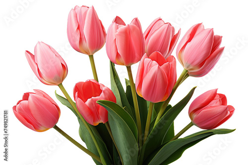 Pink Tulips. A collection of pink tulips arranged neatly in a clear glass vase showcasing their delicate petals and slender stems. The tulips stand tall and fresh adding a pop of color to the room.