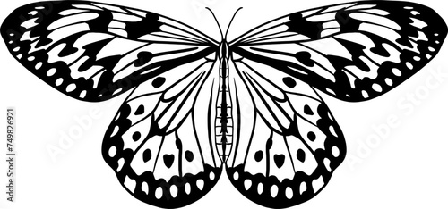 Hand drawn butterfly silhouette illustration. Black and white vector butterfly design on isolated background.
