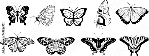 Set of butterflies silhouettes drawing on isolated background. Hand drawn butterfly vector illustration.