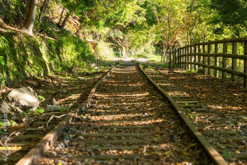 Obraz premium 山奥にひっそりとたたずむ廃線