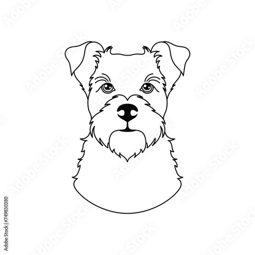 Schnauzer dog in line art style 