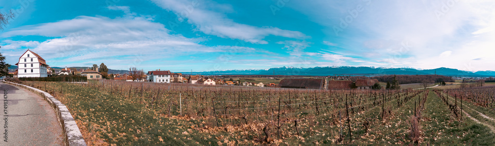 Panorama, Duillier ,  les vignes et le lac Léman