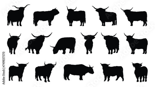 Highland cattle silhouette set