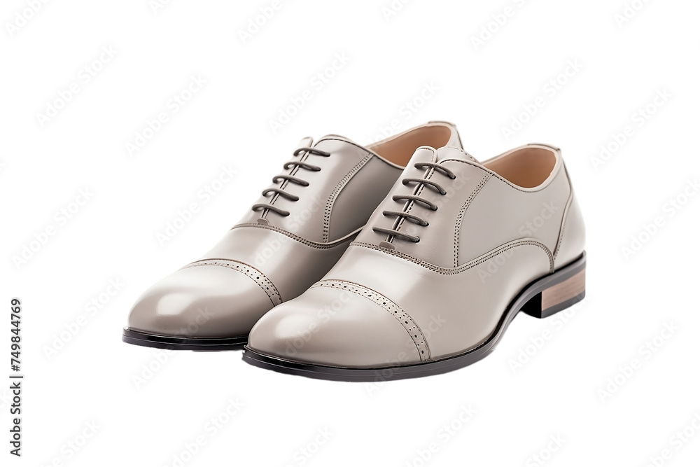 These stylish shoes exude sophistication and modernity.
